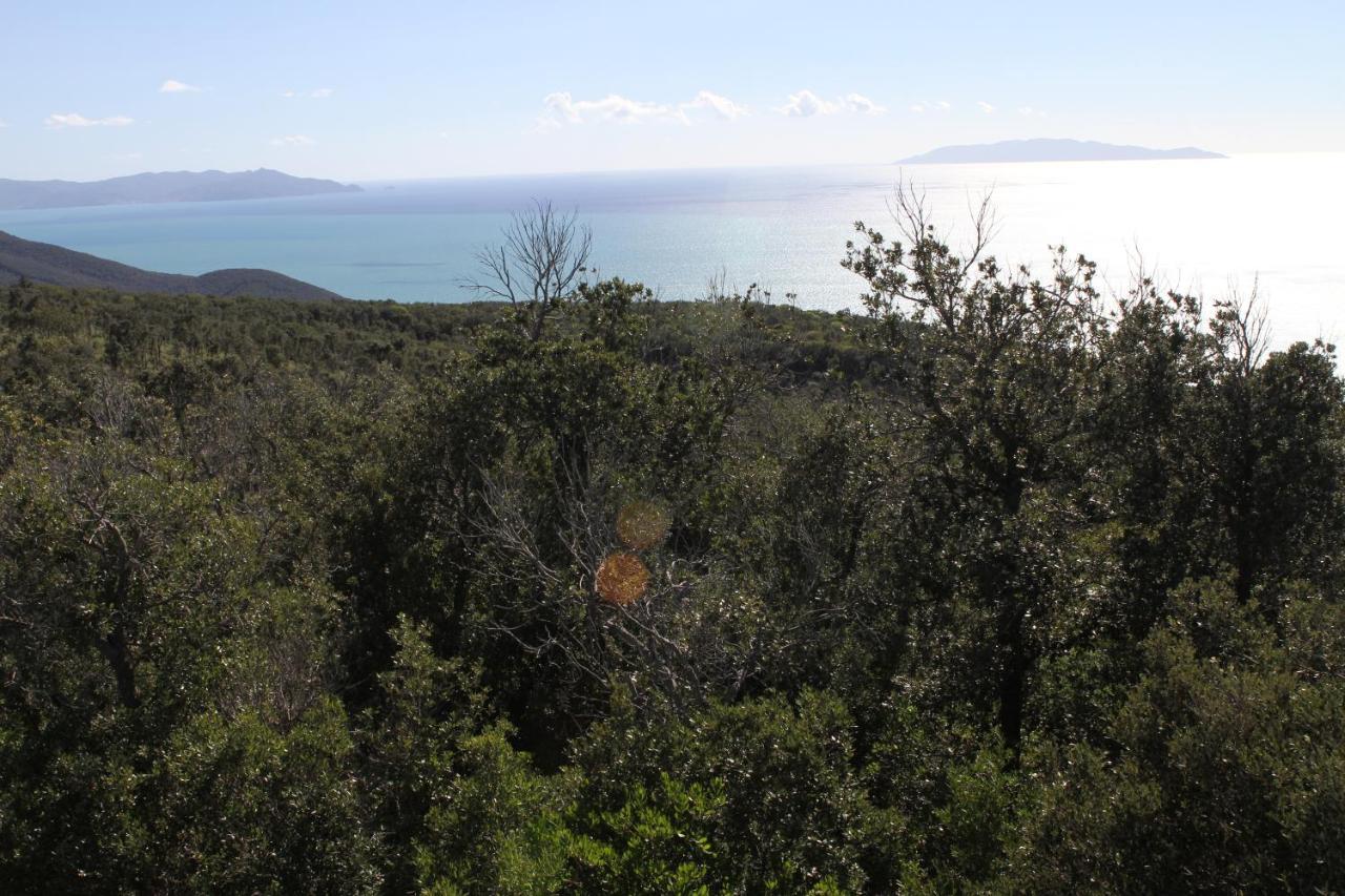 Tenuta Agricola Dell'Uccellina Ταλαμόνε Εξωτερικό φωτογραφία