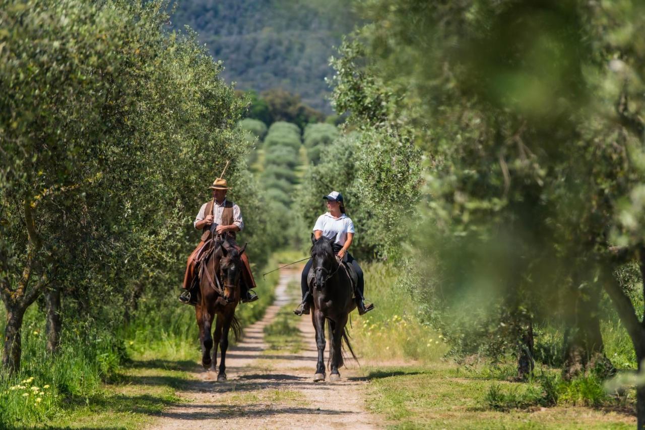 Tenuta Agricola Dell'Uccellina Ταλαμόνε Εξωτερικό φωτογραφία