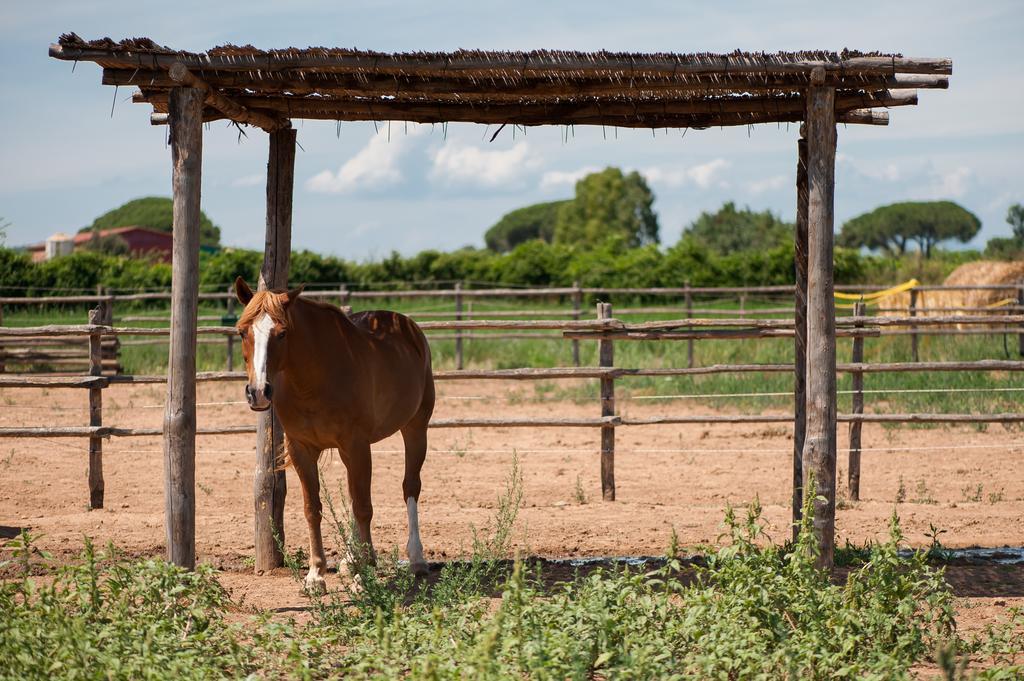 Tenuta Agricola Dell'Uccellina Ταλαμόνε Εξωτερικό φωτογραφία