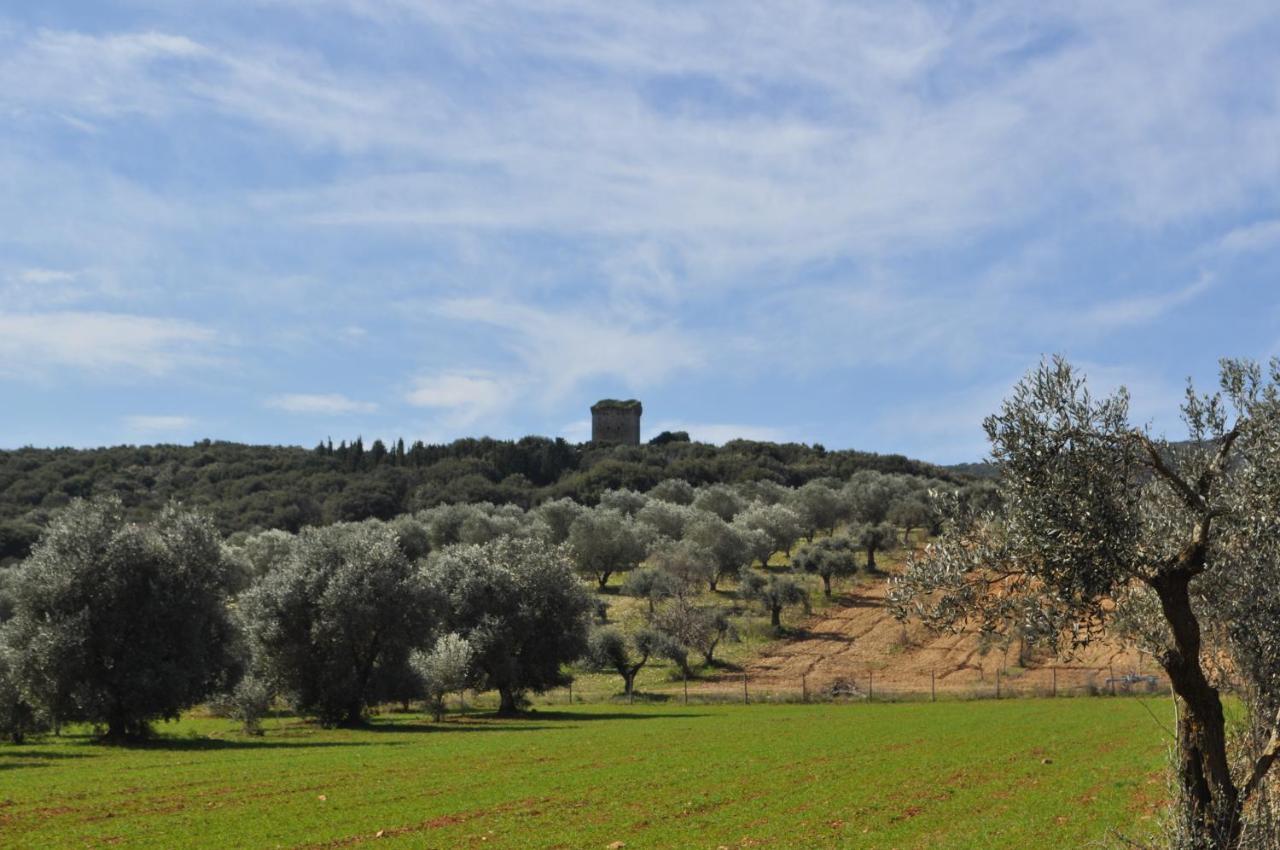 Tenuta Agricola Dell'Uccellina Ταλαμόνε Εξωτερικό φωτογραφία